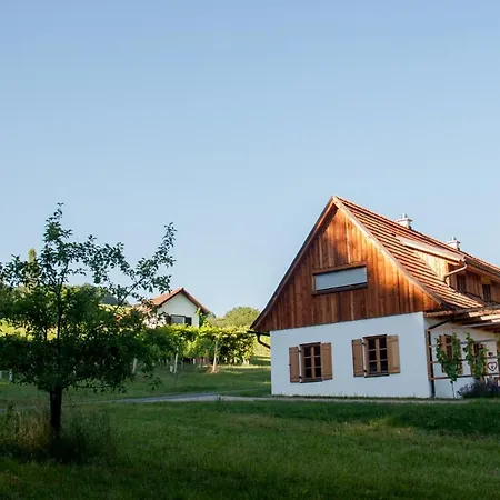 Dağ evi Weingartenrefugium Rosenberg Straden