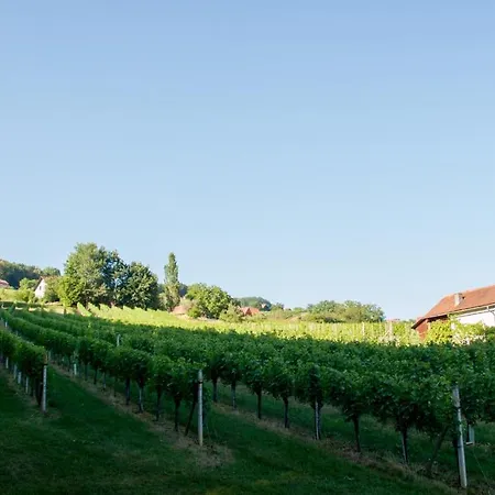 Weingartenrefugium Rosenberg 木屋 Straden