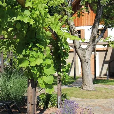 木屋 Weingartenrefugium Rosenberg