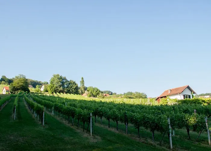 Weingartenrefugium Rosenberg Chalet Straden