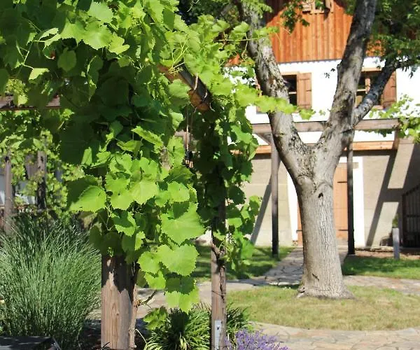 Chalet Weingartenrefugium Rosenberg